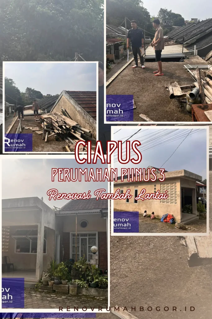 Survey Ciapus Piinus 3